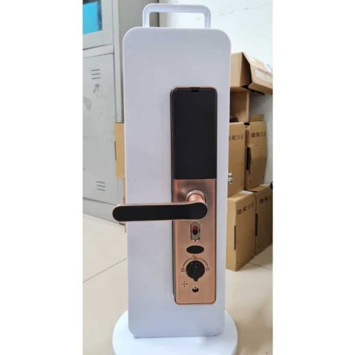 Khoá cửa vân tay cao cấp GT169 loại to 5 chốt - Ảnh 3
