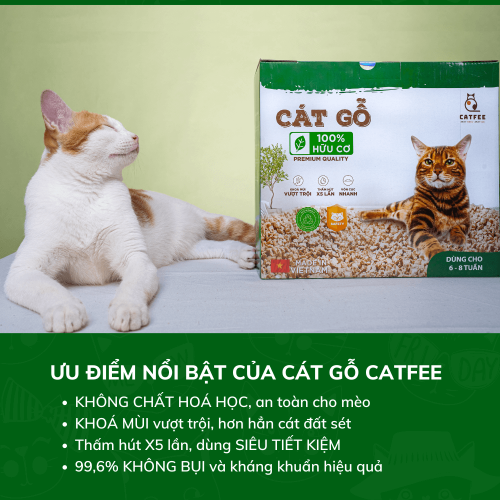 Cát gỗ cho mèo hương gỗ tự nhiên Catfee™ - 9L - Hình ảnh 4