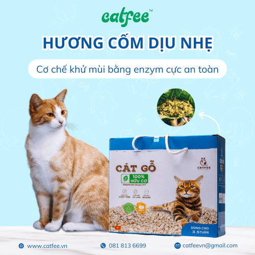 Cát gỗ cho mèo hương Cốm Catfee™ - 6L