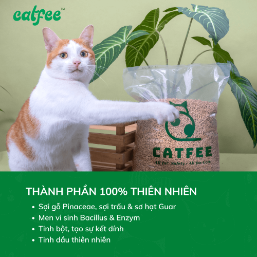 Cát gỗ cho mèo hương Gỗ tự nhiên Catfee™ - 6L - Hình ảnh 2