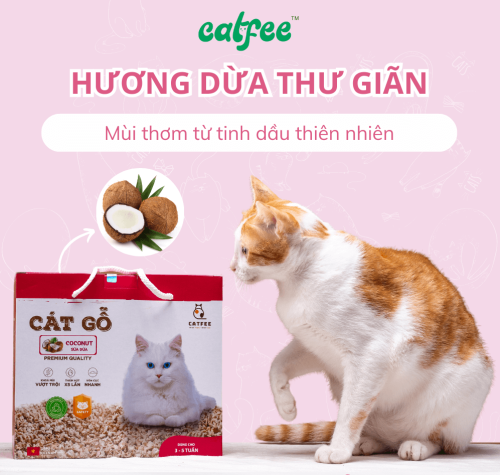 Cát gỗ cho mèo hương Sữa Dừa Catfee™ - 9L