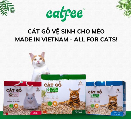 Cát gỗ cho mèo hương Sữa Dừa Catfee™ - 9L - Hình ảnh 4
