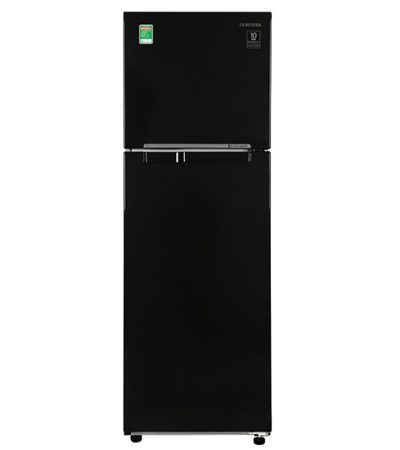 tu-lanh-samsung-rt25m4032bu-sv