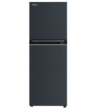 tu-lanh-toshiba-gr-rt303we-pmv52